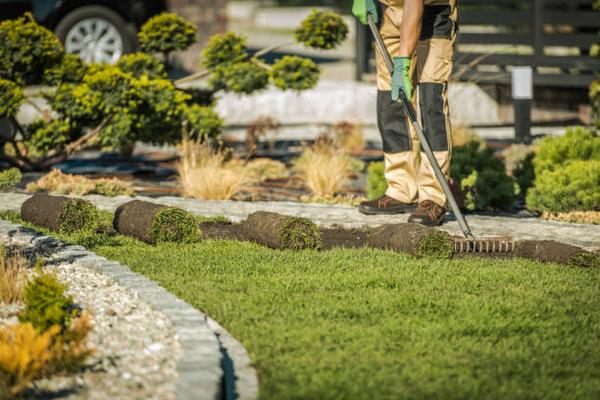 Professional Lawn Care & Landscaping Services in Fayetteville